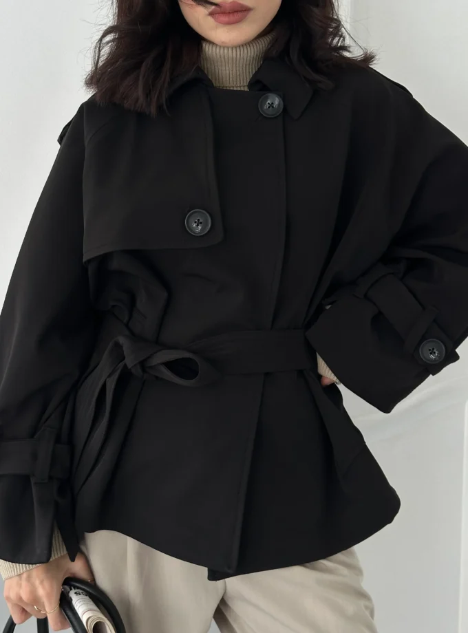 بارونی مونو