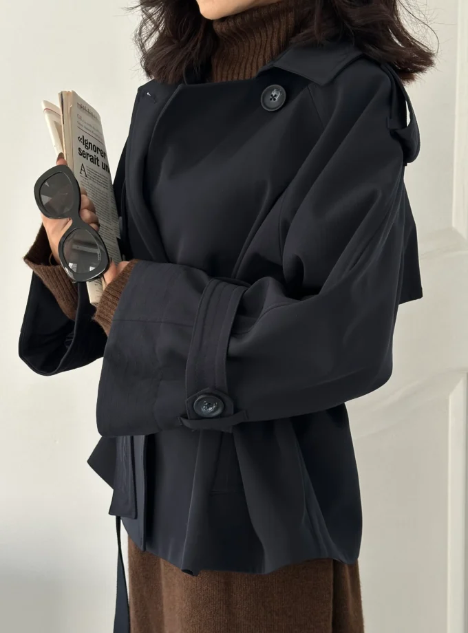 بارونی مونو