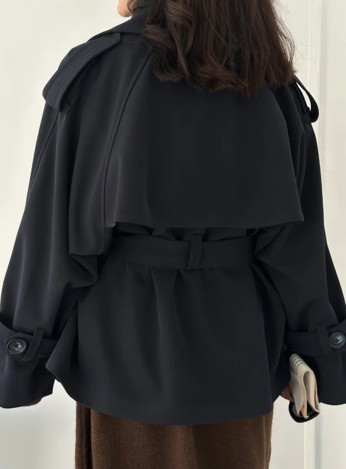 بارونی مونو