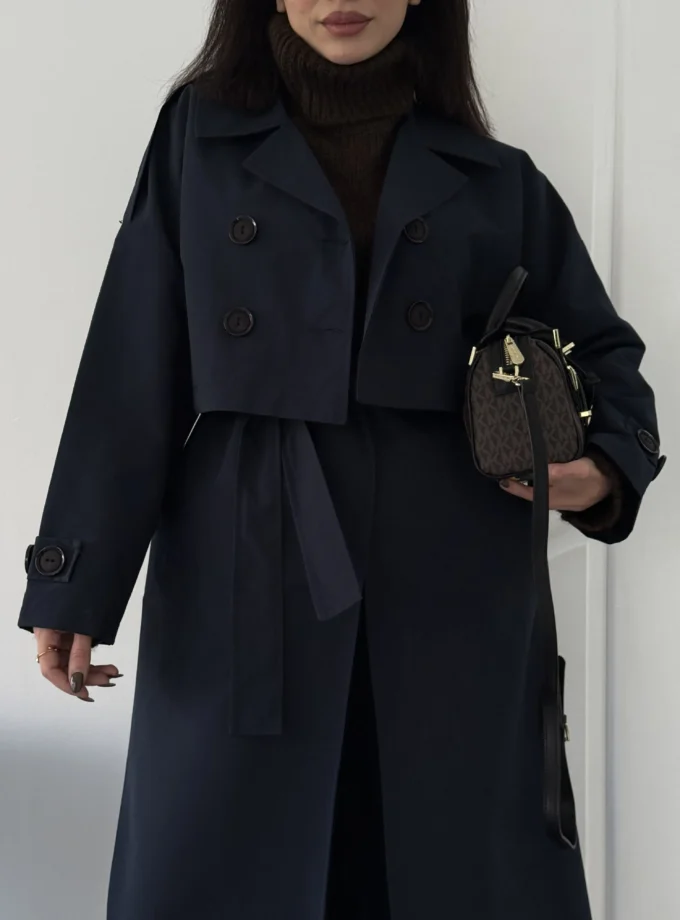 باروني دو تيكه