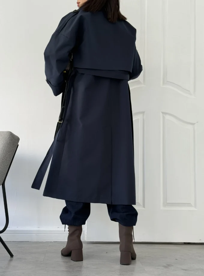 باروني دو تيكه