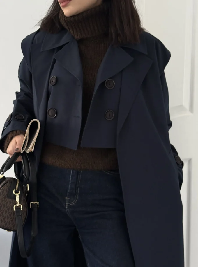 باروني دو تيكه